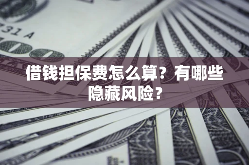 武汉借钱担保费怎么算？有哪些隐藏风险？