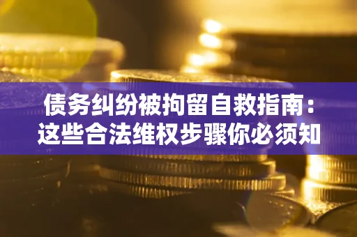 武汉债务纠纷被拘留自救指南：这些合法维权步骤你必须知道！