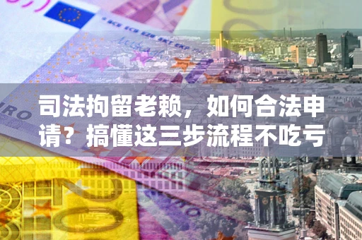 武汉司法拘留老赖，如何合法申请？搞懂这三步流程不吃亏！