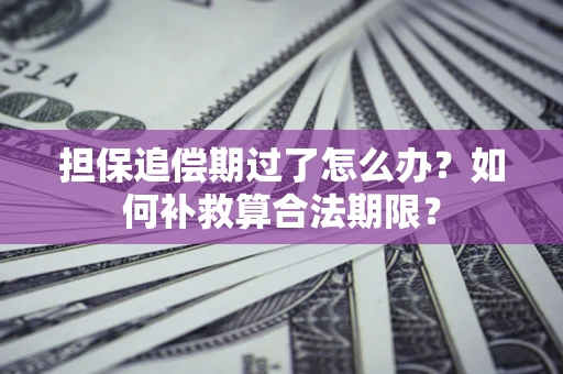 武汉担保追偿期过了怎么办？如何补救算合法期限？