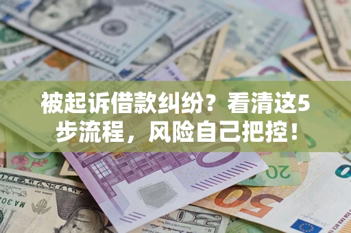 武汉被起诉借款纠纷？看清这5步流程，风险自己把控！